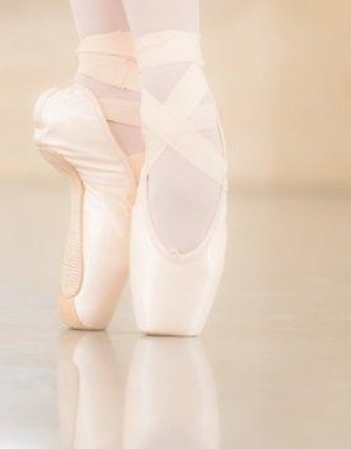 Scarpe Danza Tumblr Scarpa Da Punta-Diva-Merlet– Dietro Le